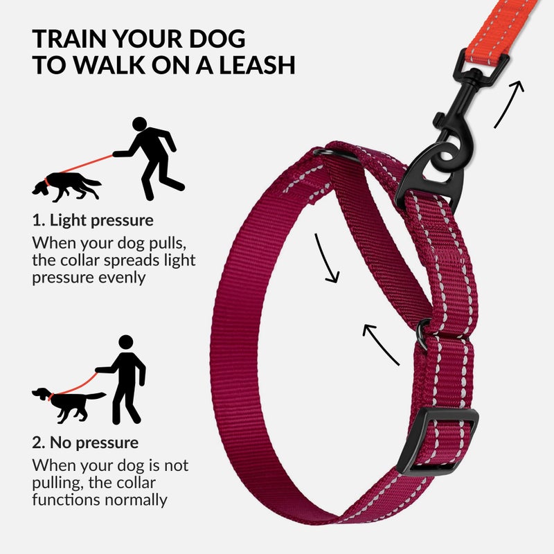 CollarDirect Reflective Martingale Dog Collar Nylon Heavy Duty Training Pet Collars for Small Medium Large Dogs Puppy Black Blue Mint Green Red Pink Purple Dark Red (S, Neck Size 11"-15", Dark Red) - Image 2